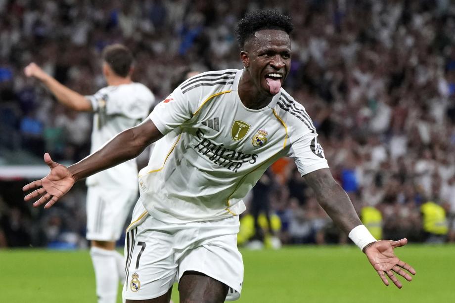 他们可能会 他们可能会